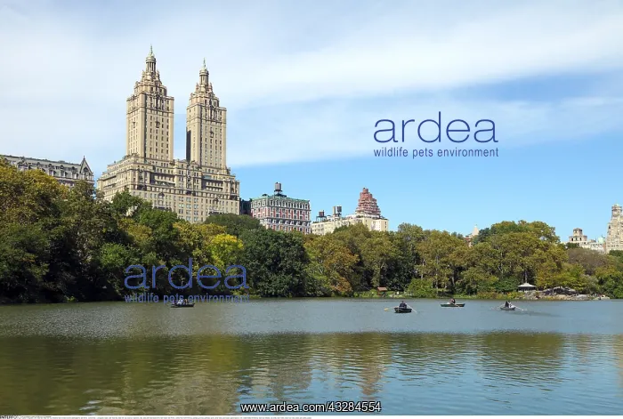 : Geografie, USA, New York, New York City, Reservoir-See : Geografie, USA, New York, New York City, Reservoir-See