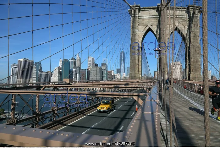 : Geografie, USA, New York, New York City, Auf der : Geografie, USA, New York, New York City, Auf der