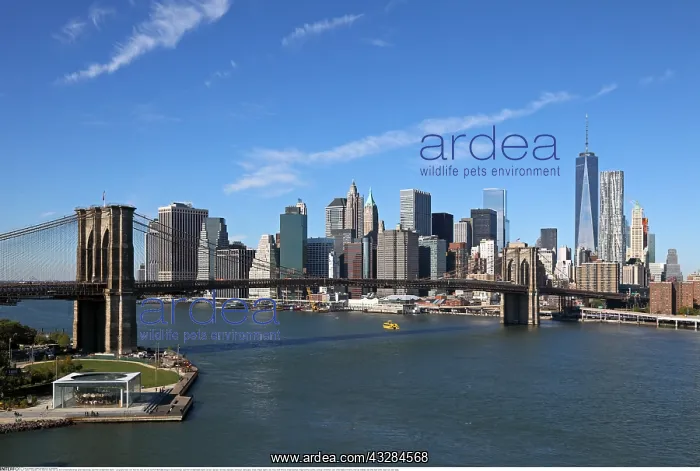 : Geografie, USA, New York, New York City, Blick von : Geografie, USA, New York, New York City, Blick von