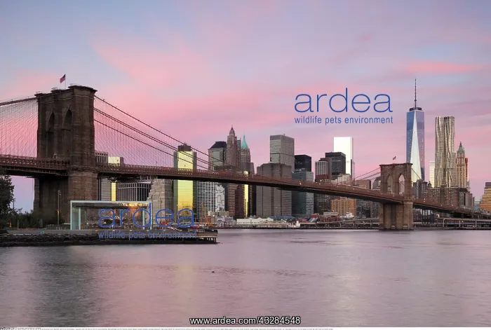 : Geografie, USA, New York, New York City, Brooklyn : Geografie, USA, New York, New York City, Brooklyn