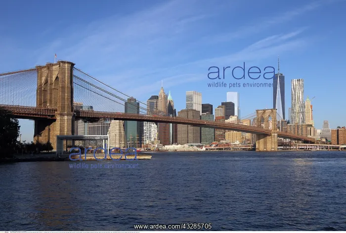 : Geografie, USA, New York, New York City, Brooklyn : Geografie, USA, New York, New York City, Brooklyn
