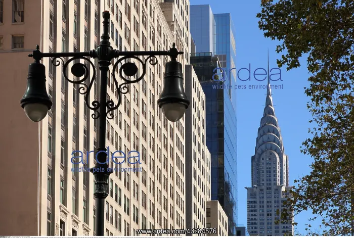 : Geografie, USA, New York, New York City, Chrysler : Geografie, USA, New York, New York City, Chrysler