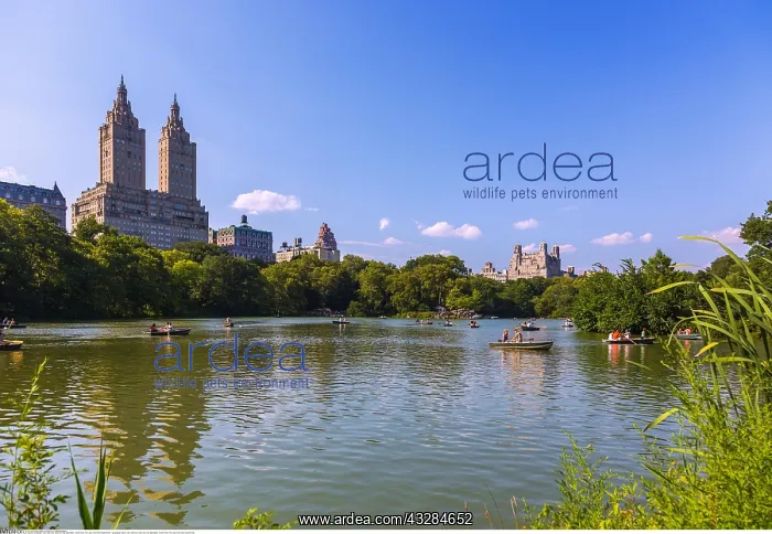 : Geografie, USA, New York, New York City, Manhattan : Geografie, USA, New York, New York City, Manhattan