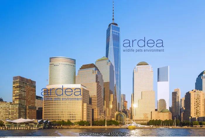 : Geografie, USA, New York, New York City, Manhattan : Geografie, USA, New York, New York City, Manhattan