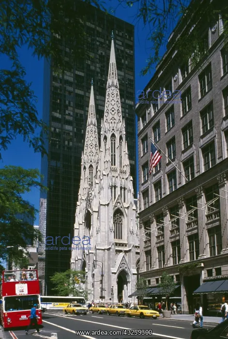 : Geografie, USA, New York, New York, Stadtansichten : Geografie, USA, New York, New York, Stadtansichten