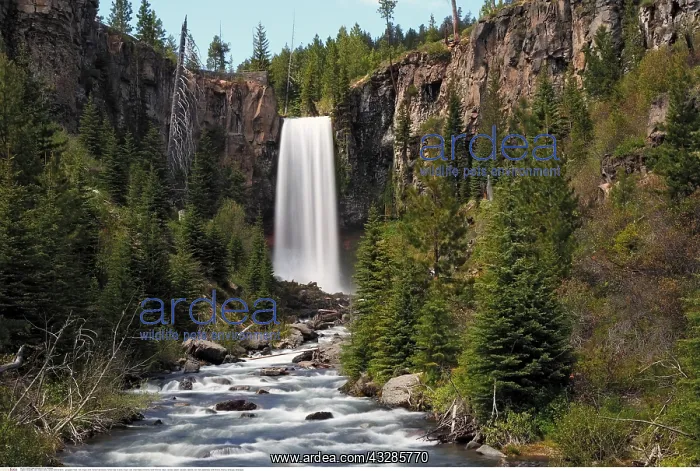 : Geografie, USA, Oregon, Bend, Tumalo Falls bei Bend : Geografie, USA, Oregon, Bend, Tumalo Falls bei Bend