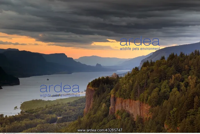 : Geografie, USA, Oregon, Columbia River Gorge, Vista : Geografie, USA, Oregon, Columbia River Gorge, Vista