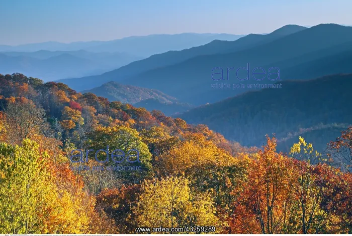 : Geografie, USA, Tennessee, Smoky Mountains, Overlook : Geografie, USA, Tennessee, Smoky Mountains, Overlook