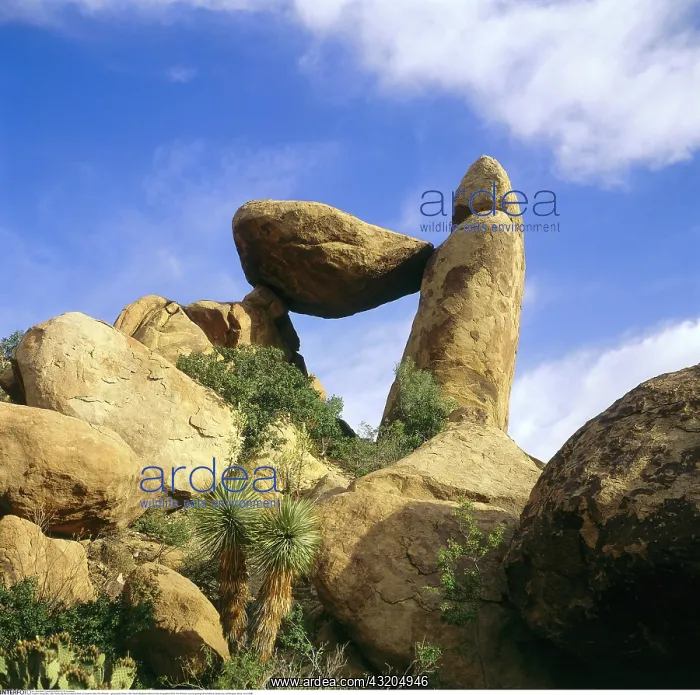 : Geografie, USA, Texas, Big Bend National Park, Grapewine : Geografie, USA, Texas, Big Bend National Park, Grapewine