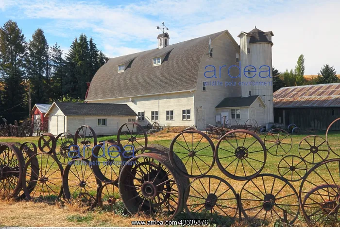 : Geografie, USA, Washington, Historic Dahmen Barn : Geografie, USA, Washington, Historic Dahmen Barn