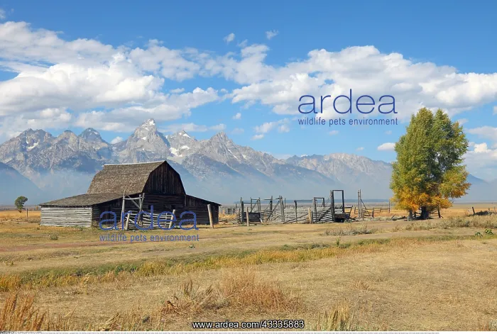 : Geografie, USA, Wyoming, Old Barn in Mormon Row : Geografie, USA, Wyoming, Old Barn in Mormon Row