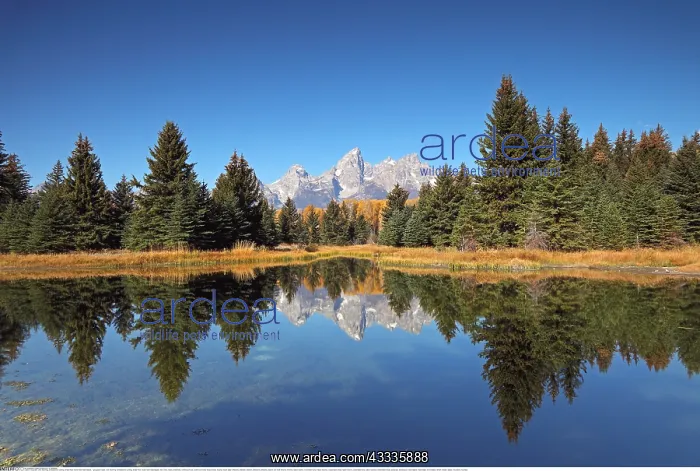 : Geografie, USA, Wyoming, Schwabacher Landing, Snake : Geografie, USA, Wyoming, Schwabacher Landing, Snake
