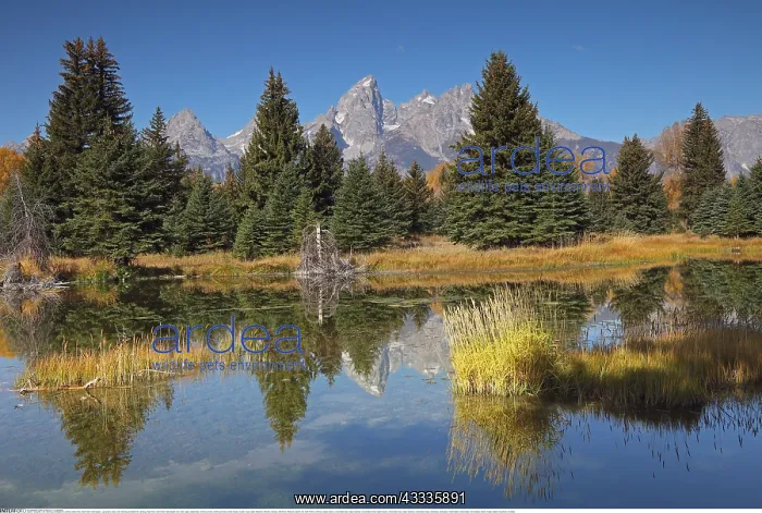 : Geografie, USA, Wyoming, Schwabacher Landing, Snake : Geografie, USA, Wyoming, Schwabacher Landing, Snake