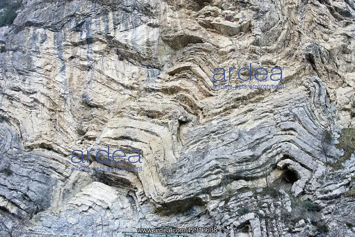 : Geographical folds, Ardeche, France : Geographical folds, Ardeche, France