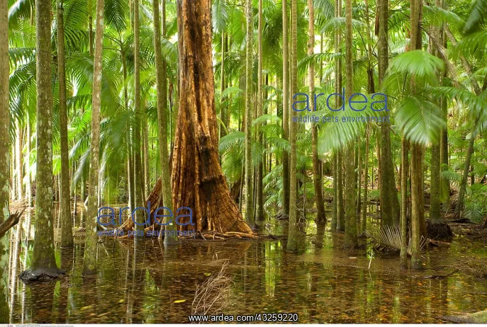  : geography  /  travel, Australia, New South Wales