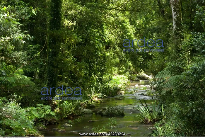 : geography / travel, Australia, New South Wales : geography / travel, Australia, New South Wales