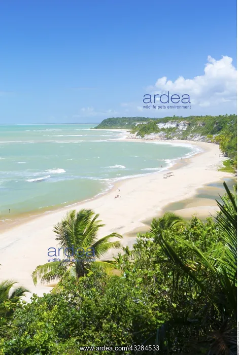 : geography / travel, Brazil, Bahia, Trancoso, Espelho : geography / travel, Brazil, Bahia, Trancoso, Espelho