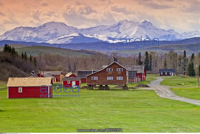: geography / travel, Canada, Alberta, Canada, Alberta : geography / travel, Canada, Alberta, Canada, Alberta