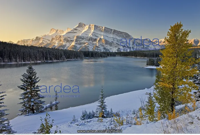 : geography / travel, Canada, Alberta, Two Jack Lake : geography / travel, Canada, Alberta, Two Jack Lake