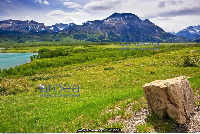 : geography / travel, Canada, Alberta, Scenery from : geography / travel, Canada, Alberta, Scenery from