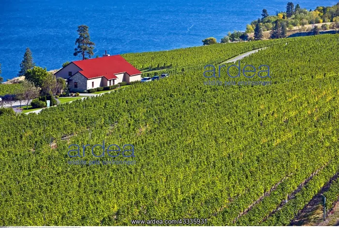 : geography / travel, Canada, British Columbia, Okanagan-Simil : geography / travel, Canada, British Columbia, Okanagan-Simil