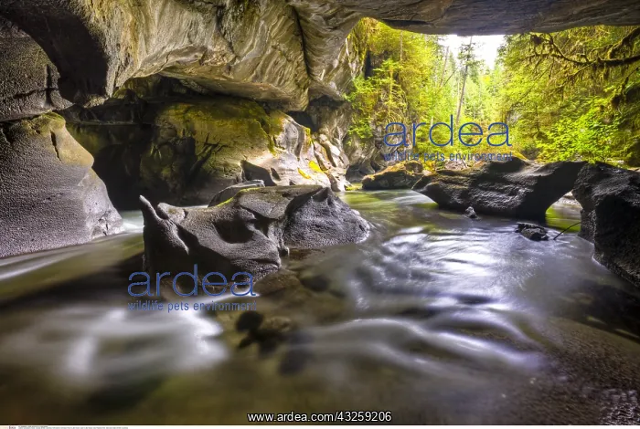 : geography / travel, Canada, British Columbia, HDR : geography / travel, Canada, British Columbia, HDR