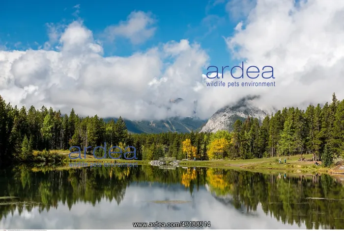 : geography / travel, Canada, Johnson Lake, Mount : geography / travel, Canada, Johnson Lake, Mount