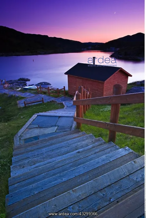 : geography / travel, Canada, Newfoundland, Fleur : geography / travel, Canada, Newfoundland, Fleur
