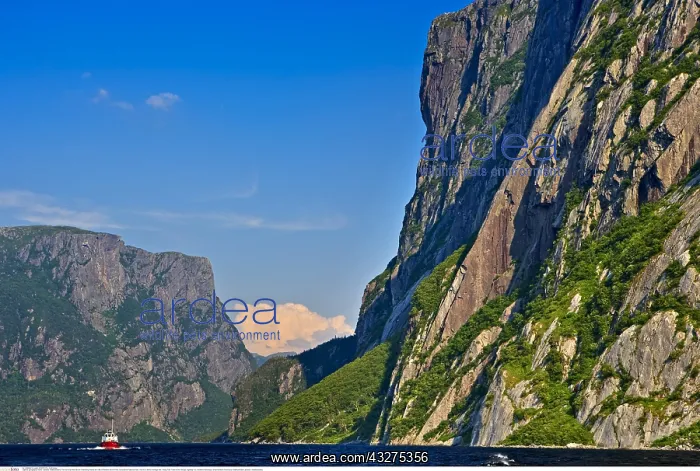 : geography / travel, Canada, Newfoundland, The tour : geography / travel, Canada, Newfoundland, The tour