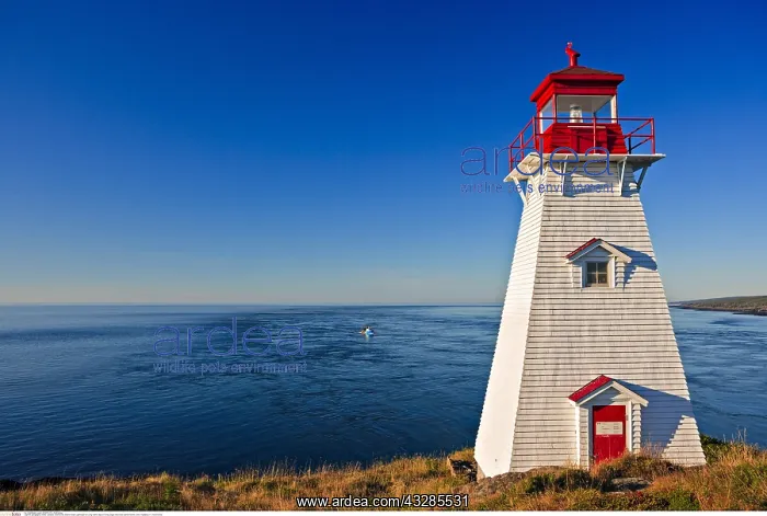: geography / travel, Canada, Nova Scotia, Boar's : geography / travel, Canada, Nova Scotia, Boar's