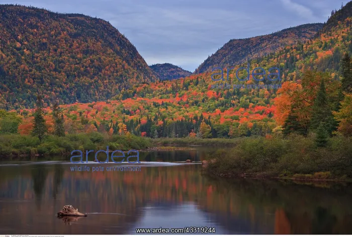 : geography / travel, Canada, Quebec, Riviere Jacques-Cartier : geography / travel, Canada, Quebec, Riviere Jacques-Cartier