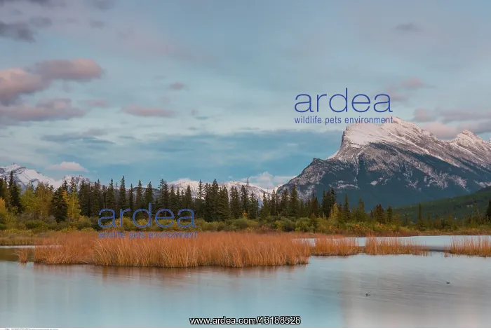 : geography / travel, Canada, Vermilion Lakes, Banff : geography / travel, Canada, Vermilion Lakes, Banff