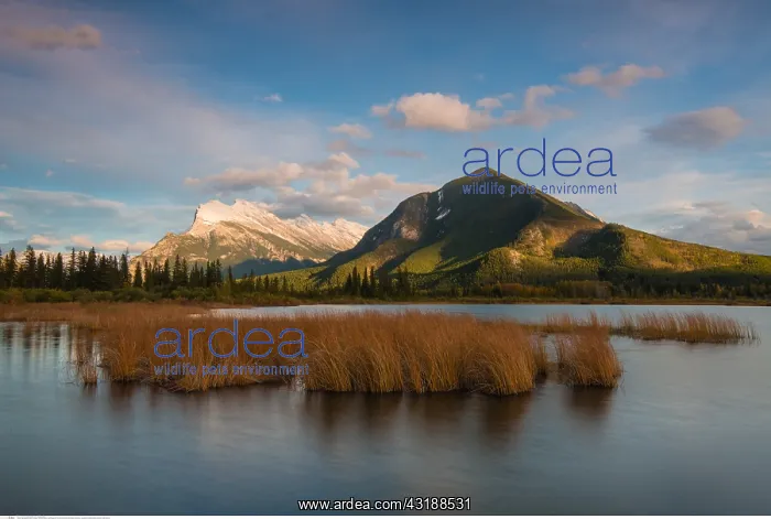 : geography / travel, Canada, Vermilion Lakes, Banff : geography / travel, Canada, Vermilion Lakes, Banff