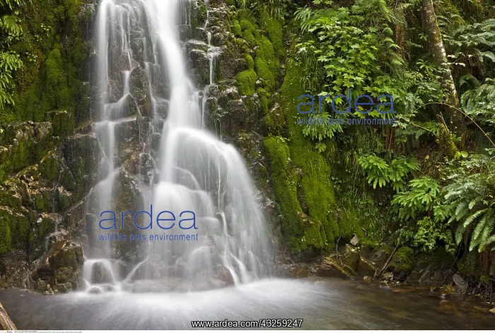 : geography / travel, Canada, Waterfall in the rainforest : geography / travel, Canada, Waterfall in the rainforest