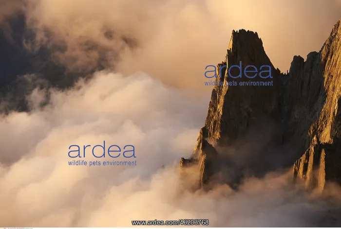 : geography / travel, France, Aiguille du Peigne (3192 : geography / travel, France, Aiguille du Peigne (3192