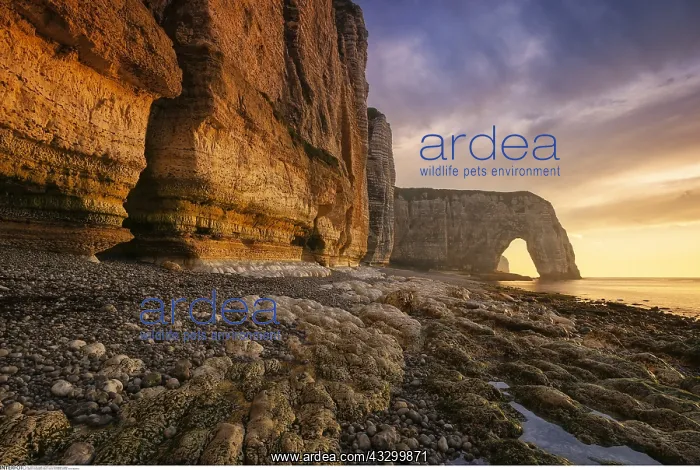 : Geography / travel, France, Normandy, Etretat, Seine : Geography / travel, France, Normandy, Etretat, Seine