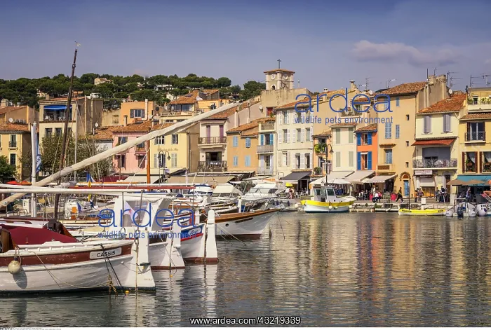 : geography / travel, France, Provence-Alpes-Cote : geography / travel, France, Provence-Alpes-Cote