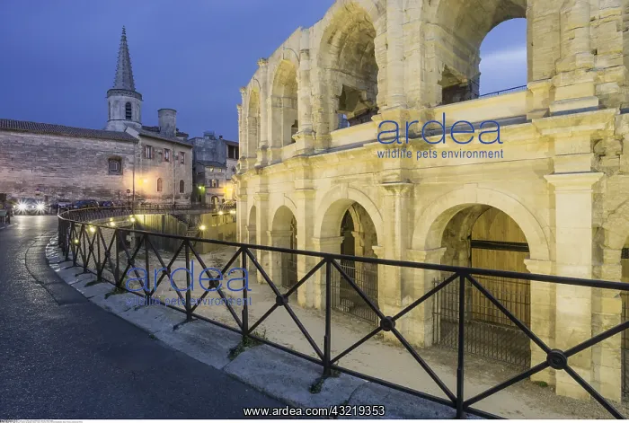 : geography / travel, France, Provence, Arles, Roman : geography / travel, France, Provence, Arles, Roman