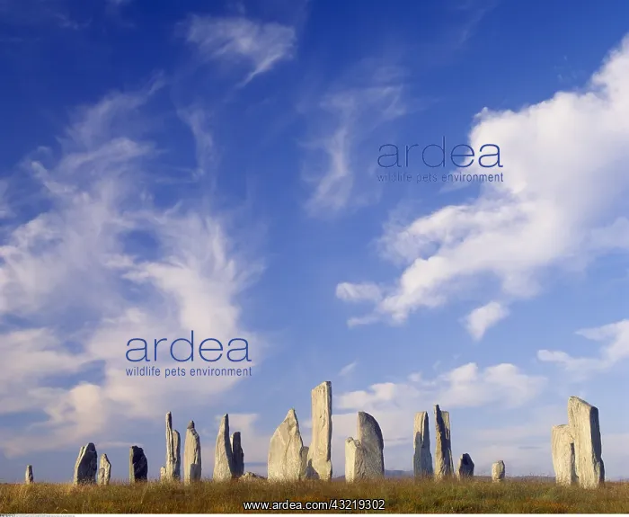 : geography / travel, Great Britain, Scotland, Callanish : geography / travel, Great Britain, Scotland, Callanish