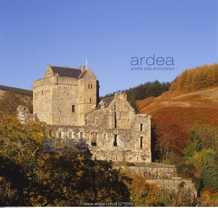 : geography / travel, Great Britain, Scotland, Castle : geography / travel, Great Britain, Scotland, Castle