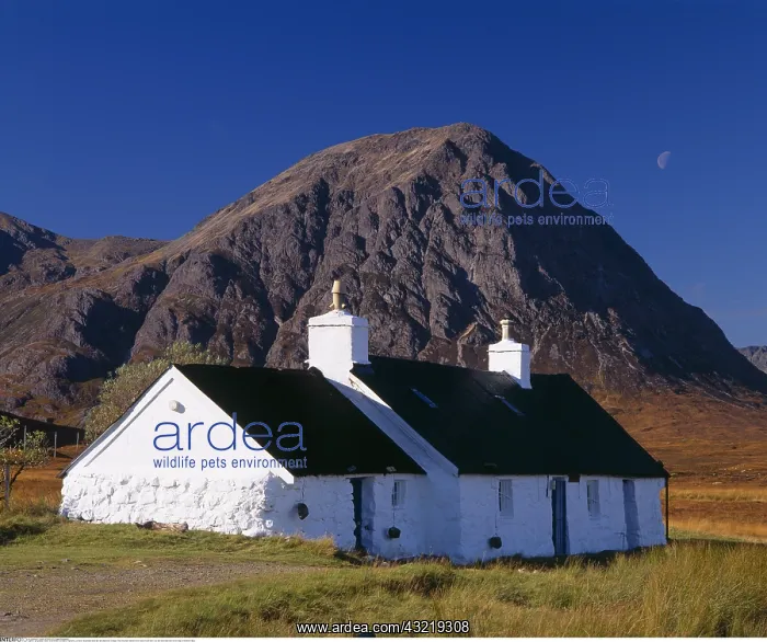  : geography  /  travel, Great Britain, Scotland, Highland
