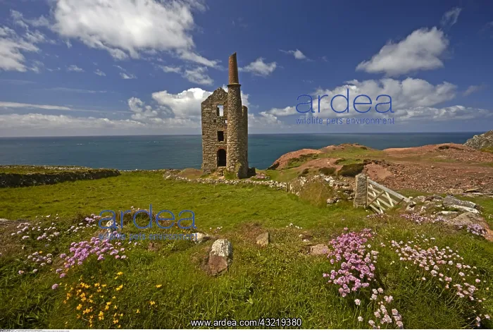 : geography / travel, Great Britain, England, Botallack : geography / travel, Great Britain, England, Botallack
