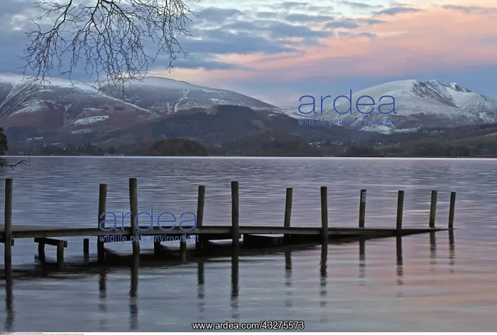 : geography / travel, Great Britain, England, Brandelhow : geography / travel, Great Britain, England, Brandelhow
