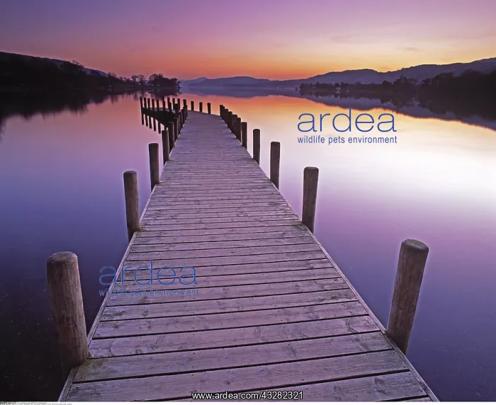 : geography / travel, Great Britain, England, Coniston : geography / travel, Great Britain, England, Coniston