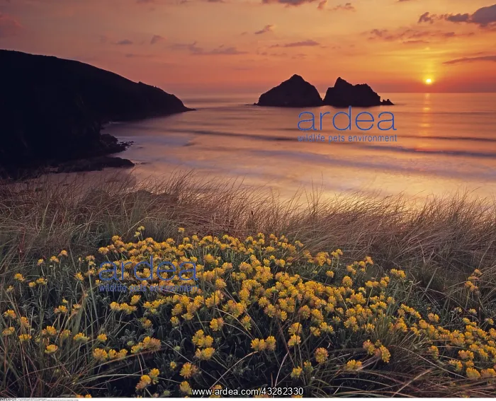 : geography / travel, Great Britain, England, Holywell : geography / travel, Great Britain, England, Holywell