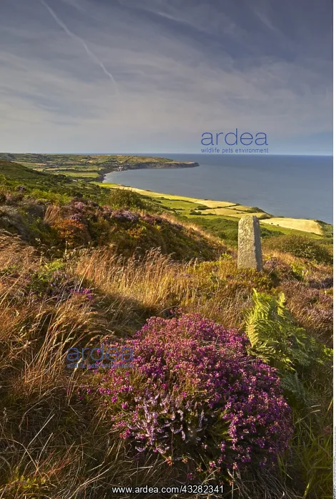 : geography / travel, Great Britain, England, Ravenscar : geography / travel, Great Britain, England, Ravenscar
