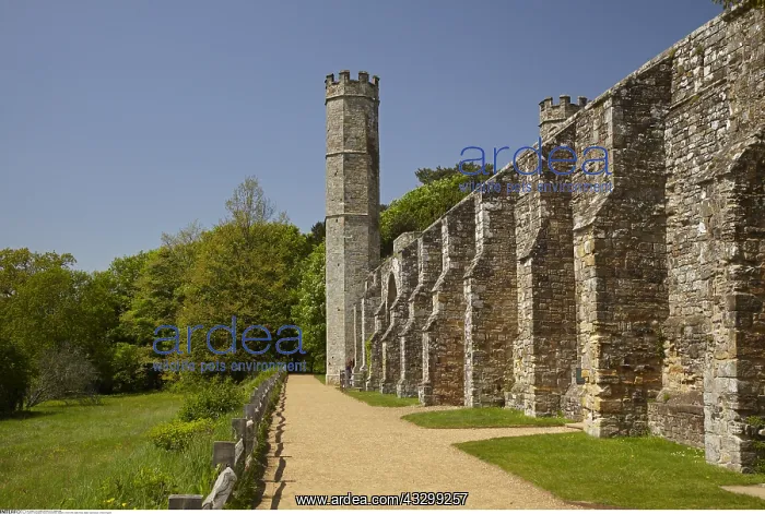 : Geography / travel, Great Britain, England, Undercrofts : Geography / travel, Great Britain, England, Undercrofts