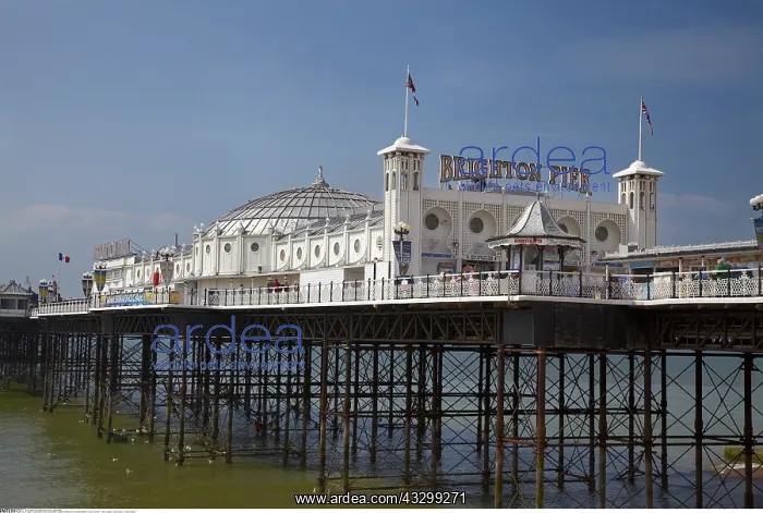 : Geography / travel, Great Britain, England, Brighton : Geography / travel, Great Britain, England, Brighton