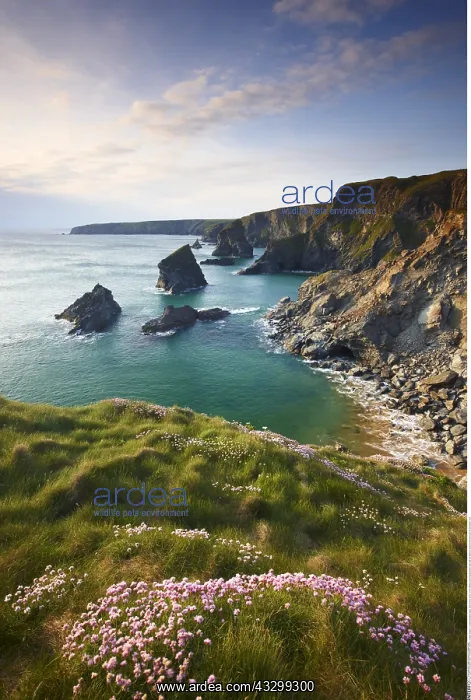 : Geography / travel, Great Britain, England, Cornwall : Geography / travel, Great Britain, England, Cornwall