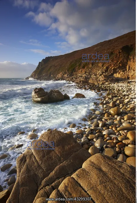 : Geography / travel, Great Britain, England, Cornwall : Geography / travel, Great Britain, England, Cornwall